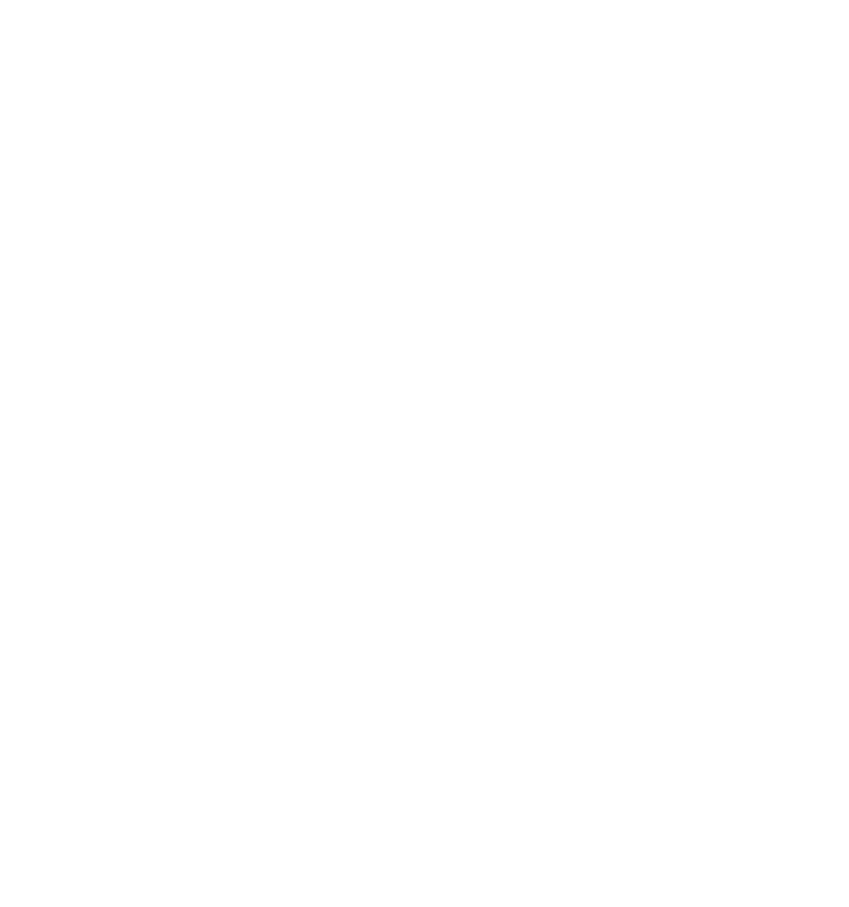 Hotel Condor Tulcea